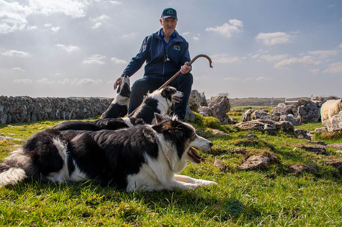 Brendan Vacation - Caherconnell Fort