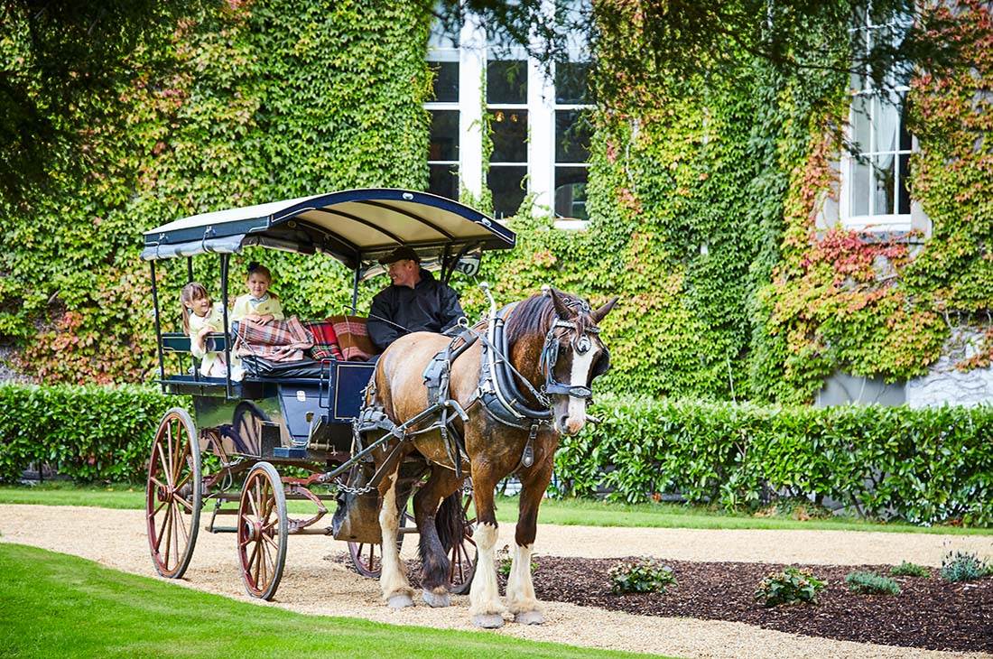 Killarney jaunting cart in Ireland