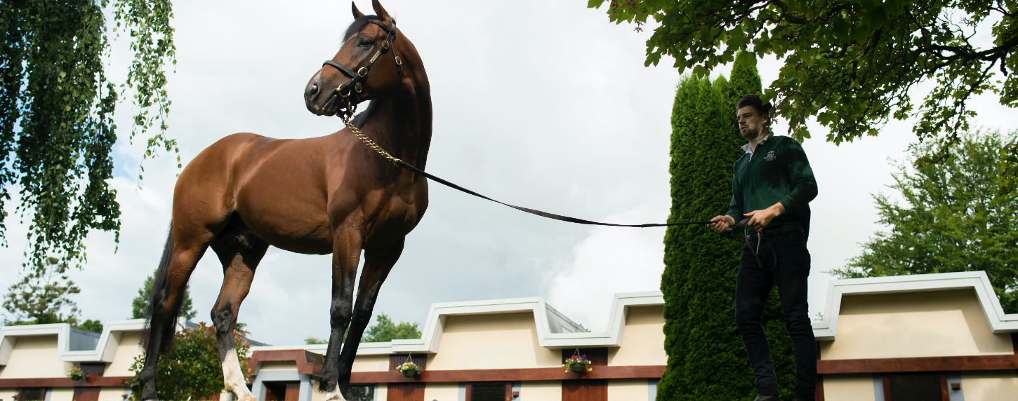 Irish National Stud Farm